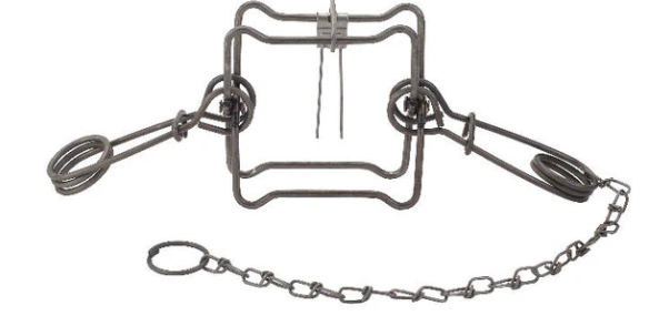 #120 Duke Body Trap - 4 1/2" Jaw Spread
