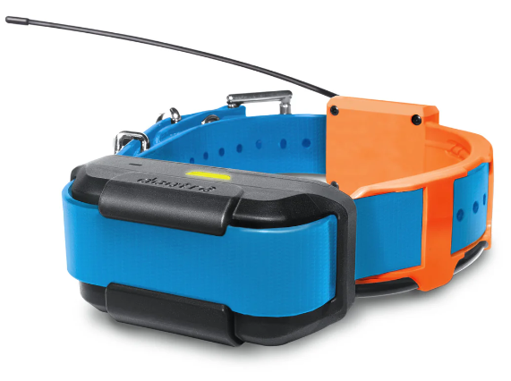 Dogtra Pathfinder TRX