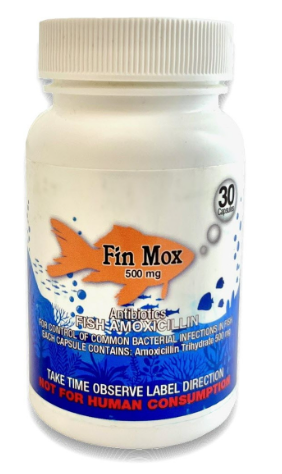 FishBiotic Amoxicillin Caps