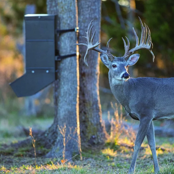 EZ Tree Feeder
