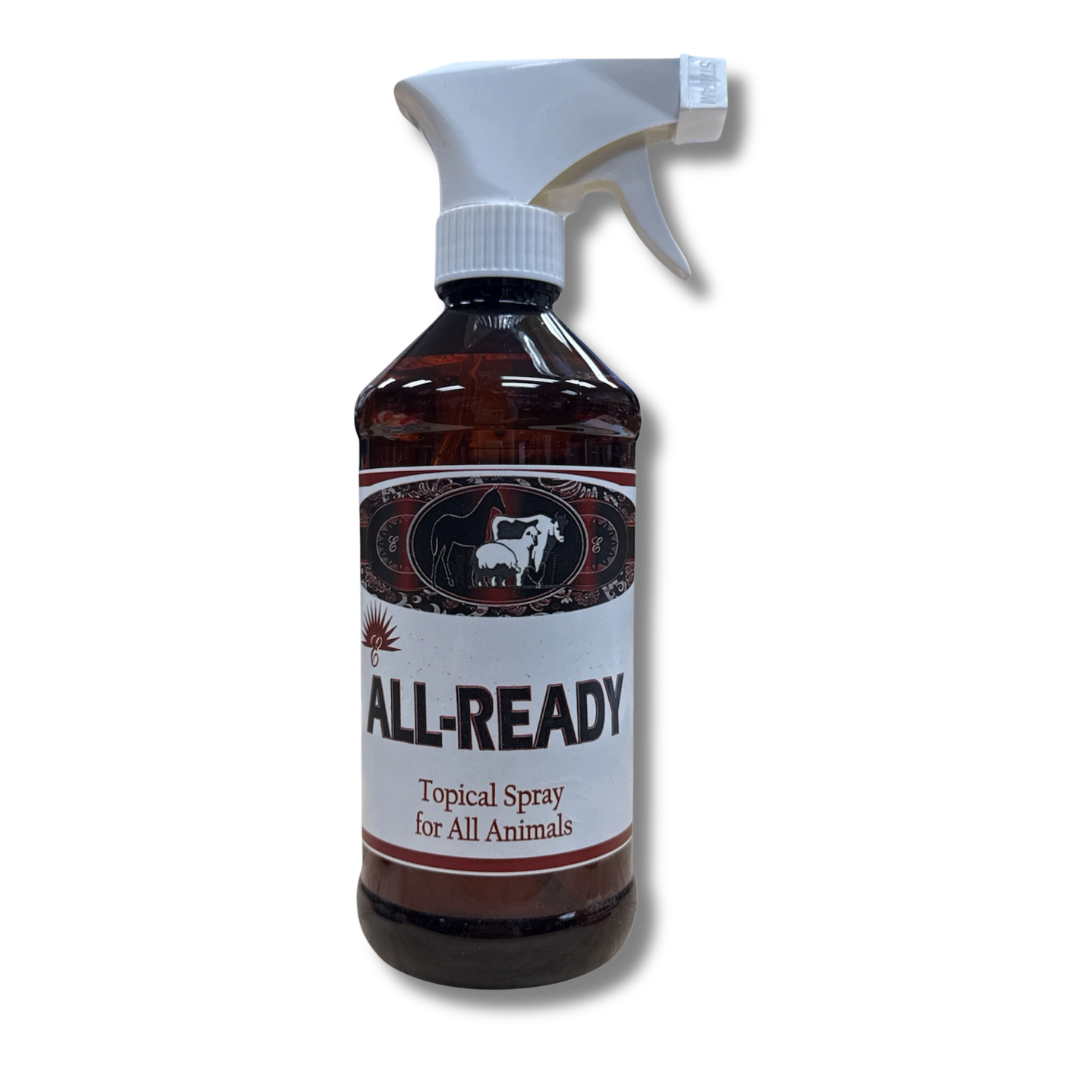 Elite Nutrition All Ready 16oz