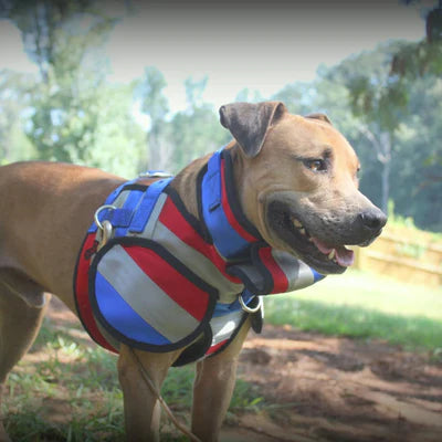 Southern Cross Dog Vest - Aussie Style Pro Plate