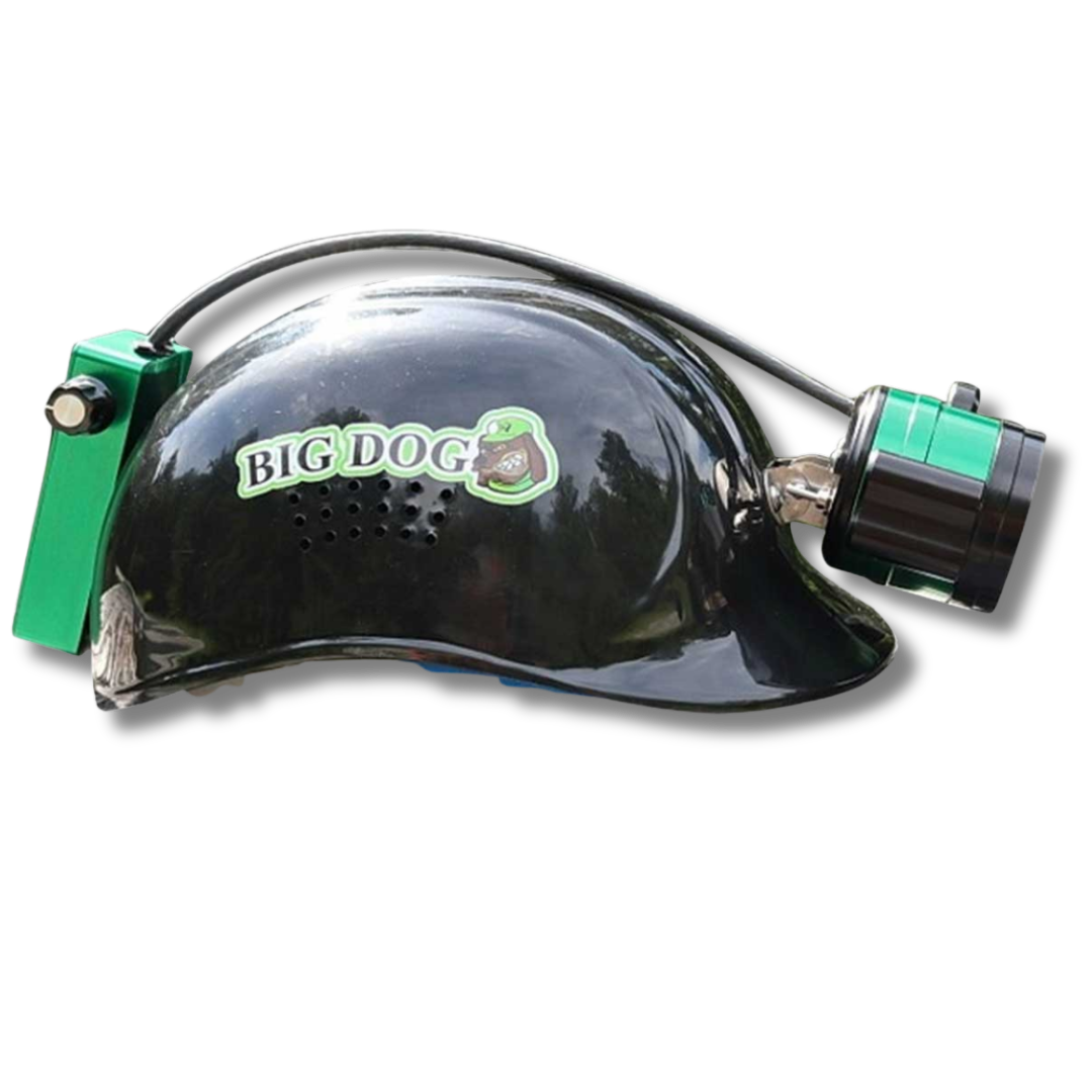 Big Dog Blitz Light