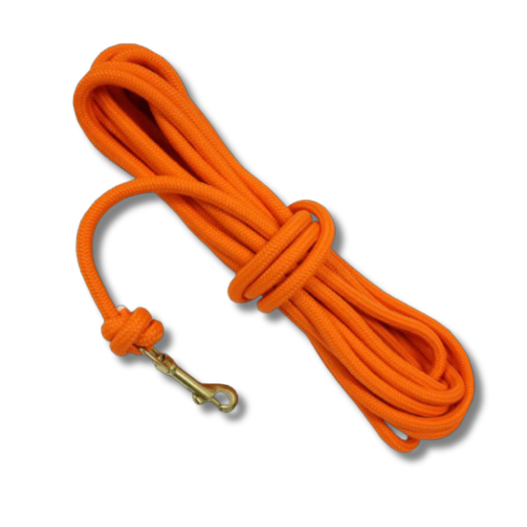 DT Systems 30' Check Cord