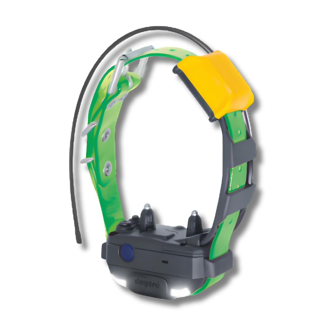 Dogtra Pathfinder2 Track & Train Collar