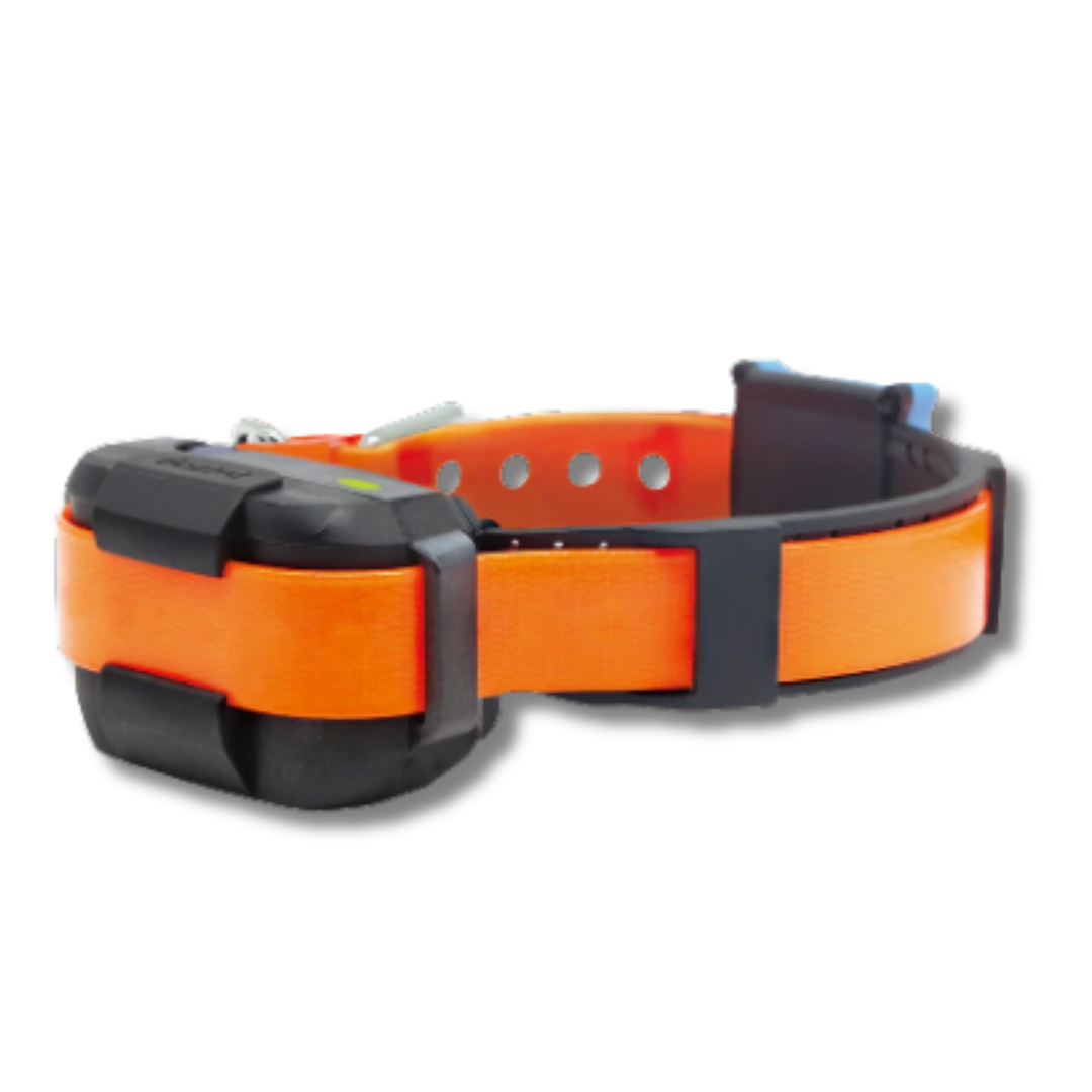 Dogtra Smart Fence Collar