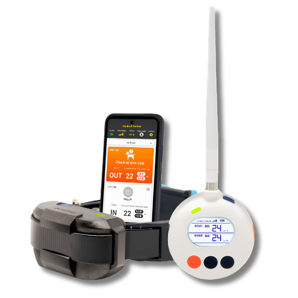 Dogtra Smart Fence