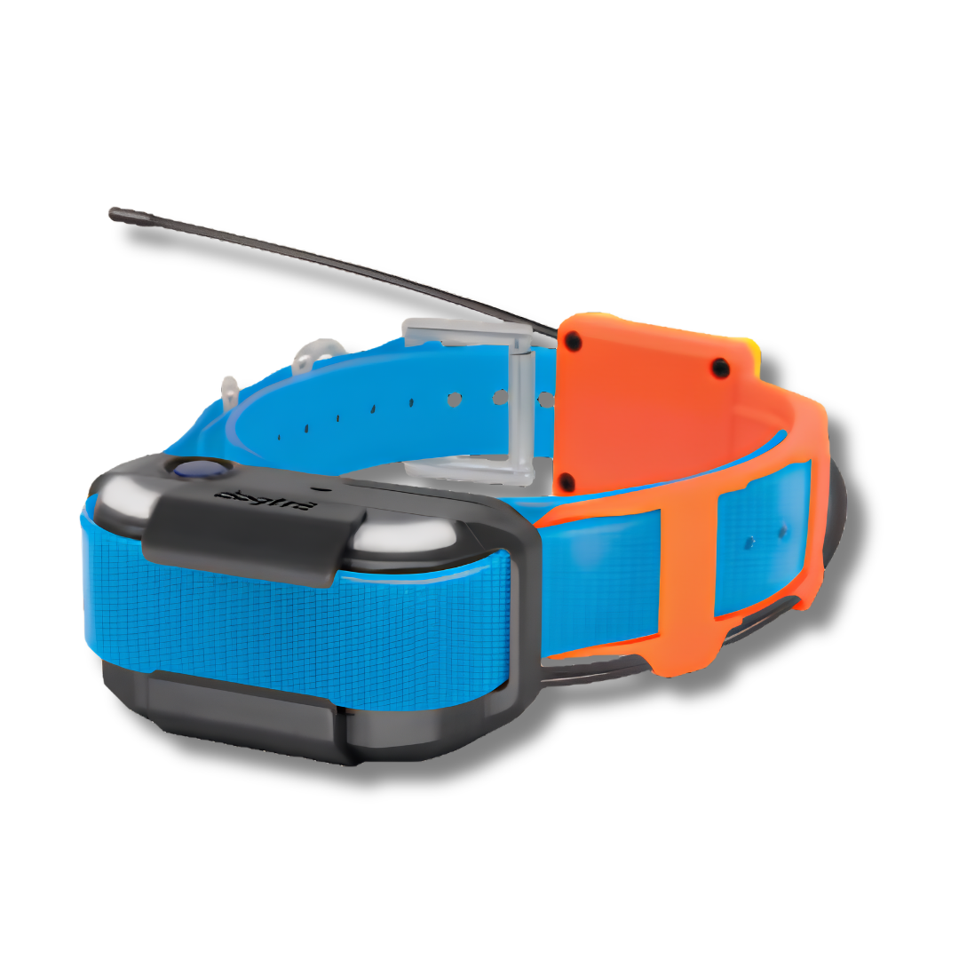 Dogtra Pathfinder2 TRX Tracking Collar