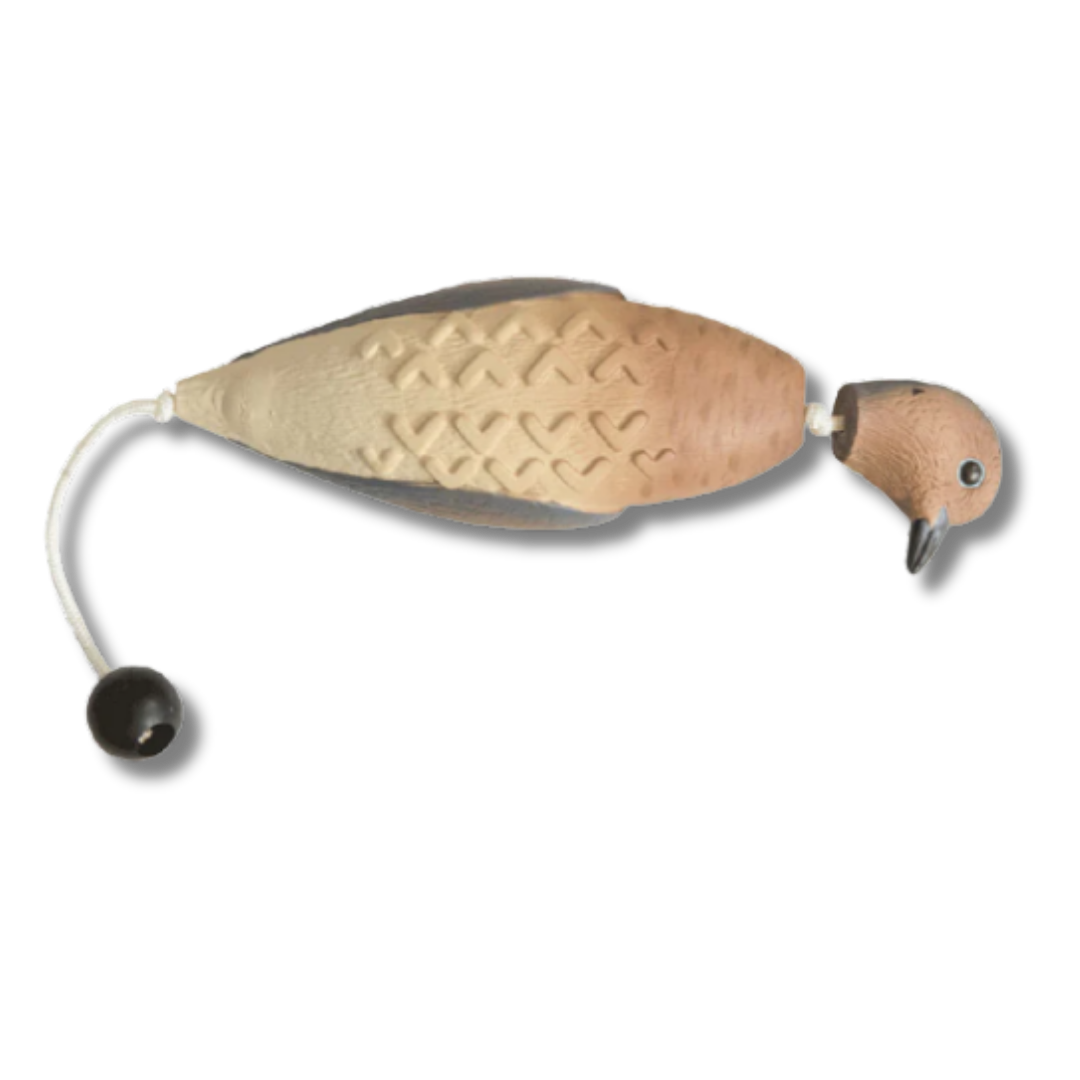 Banded EZ Bird
