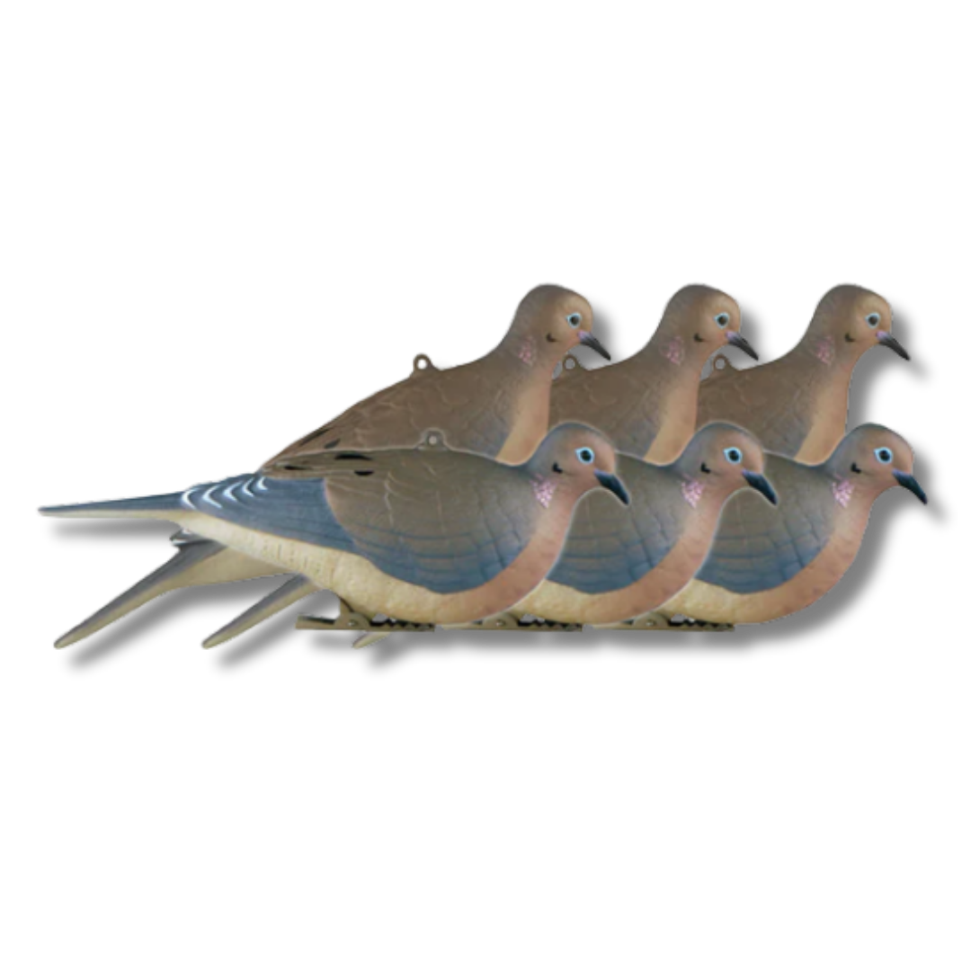 Banded GHG Mourning Dove Decoys