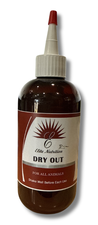 Elite Nutrition Dry Out 8oz