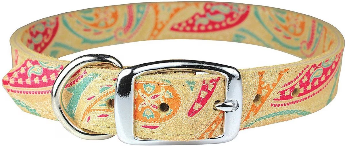 OmniPet Paisley Leather Dog Collar