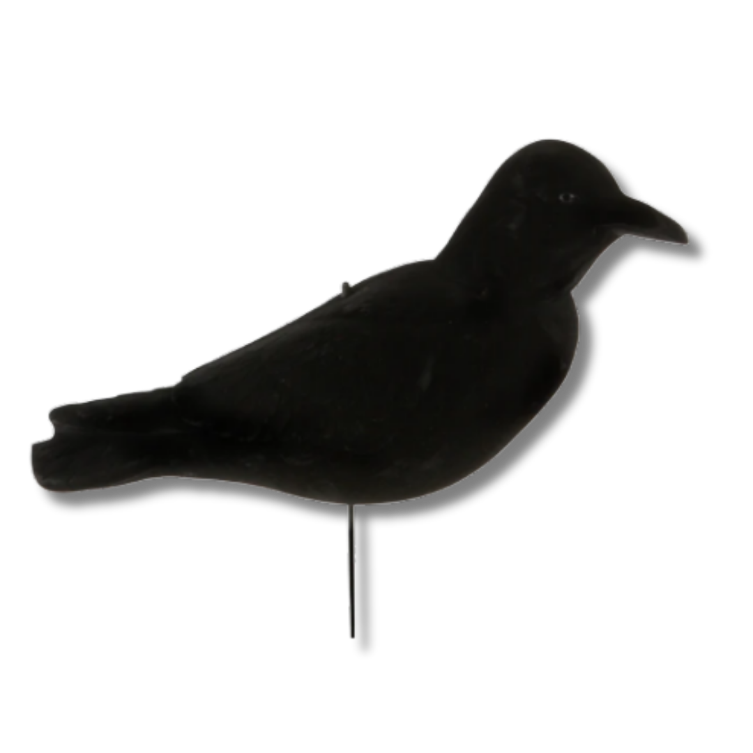 Banded FFD Elite Crow Decoys