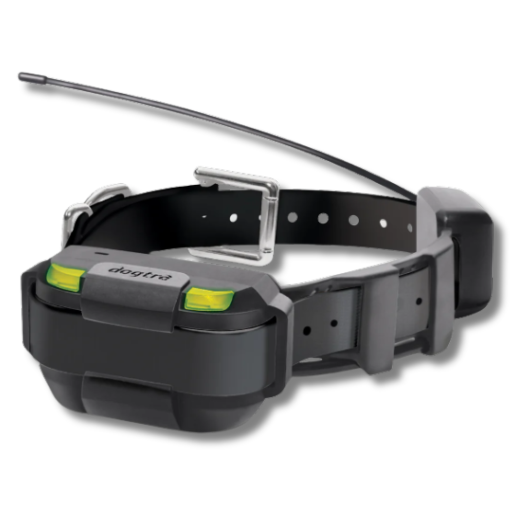 Dogtra Pathfinder Mini Track & Train Collar