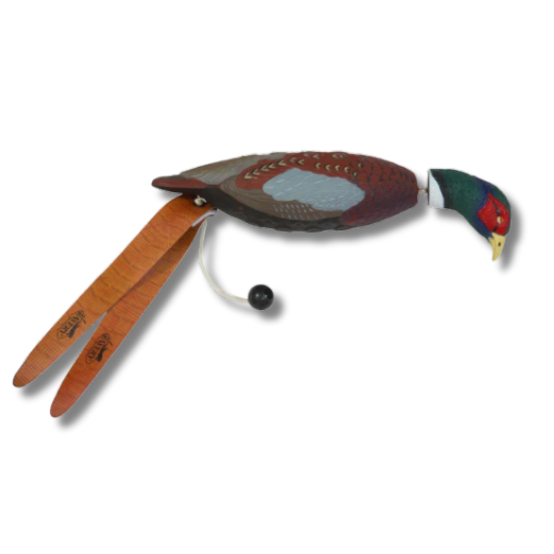 Banded EZ Bird