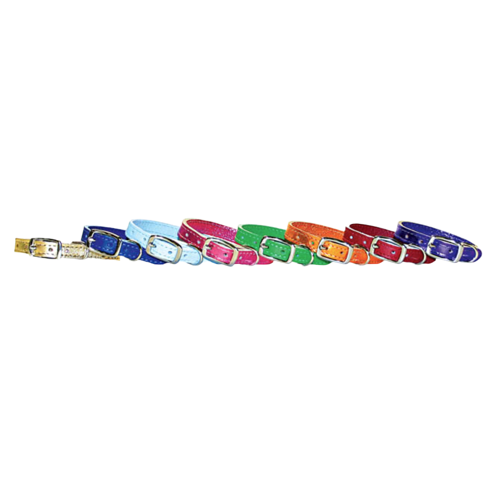 Pocket Pup Collars