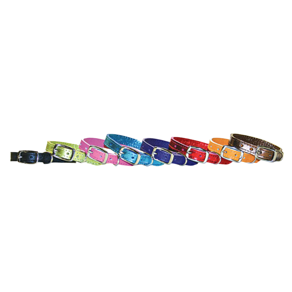 Pocket Pup Collars