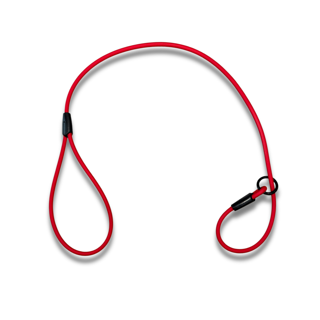 2ft Beta Show Lead