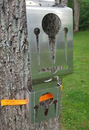 Ridge Runner Squirrel Skinner