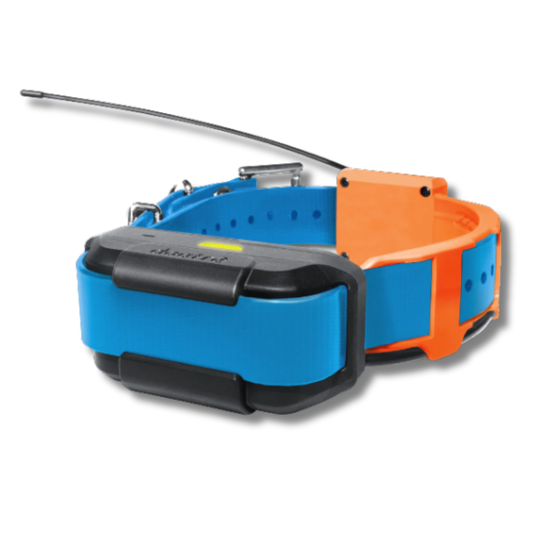 Dogtra Pathfinder TRX