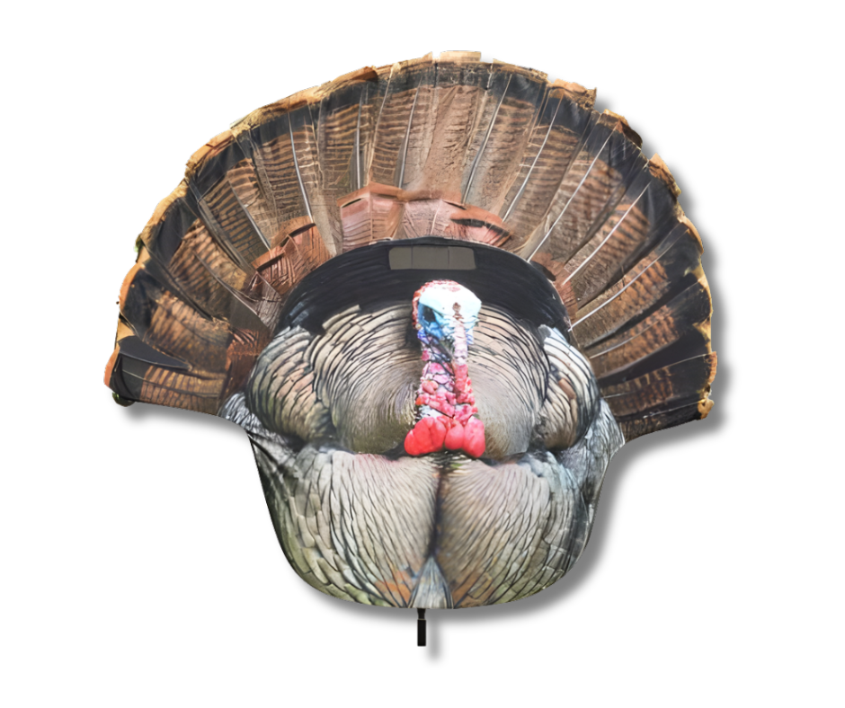 Montana Decoy Turkey Gobbler Fanatic 2D