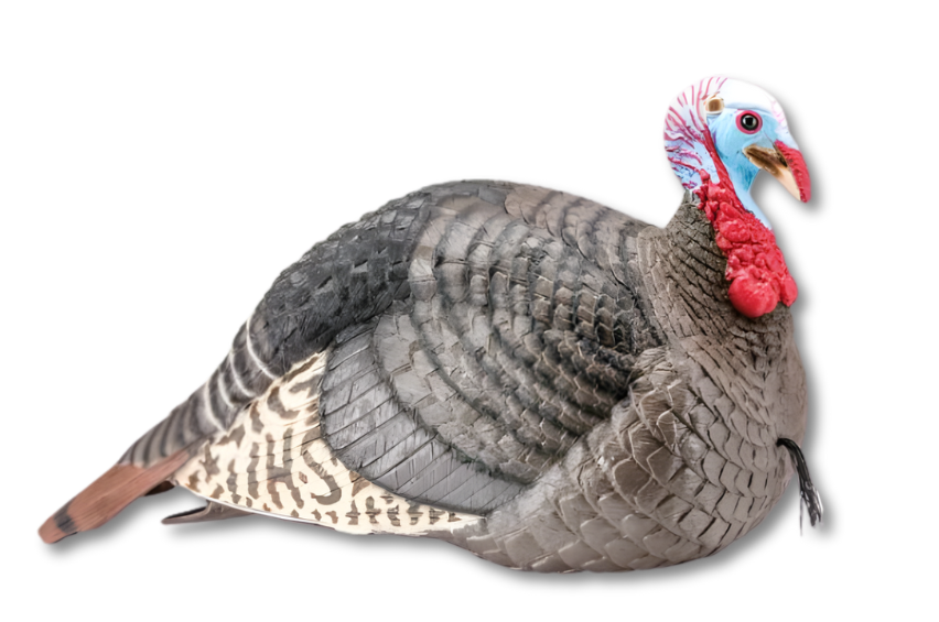 HS Strut Turkey Decoy Jake Strut-Lite