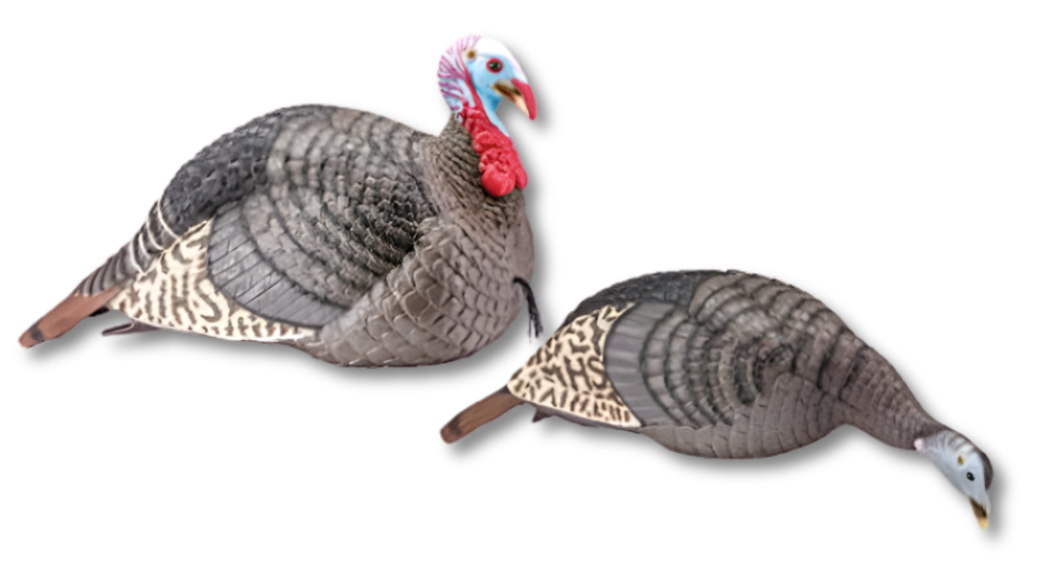 HS Strut Turkey Decoy Combo Hen/Jake Strut-Lite