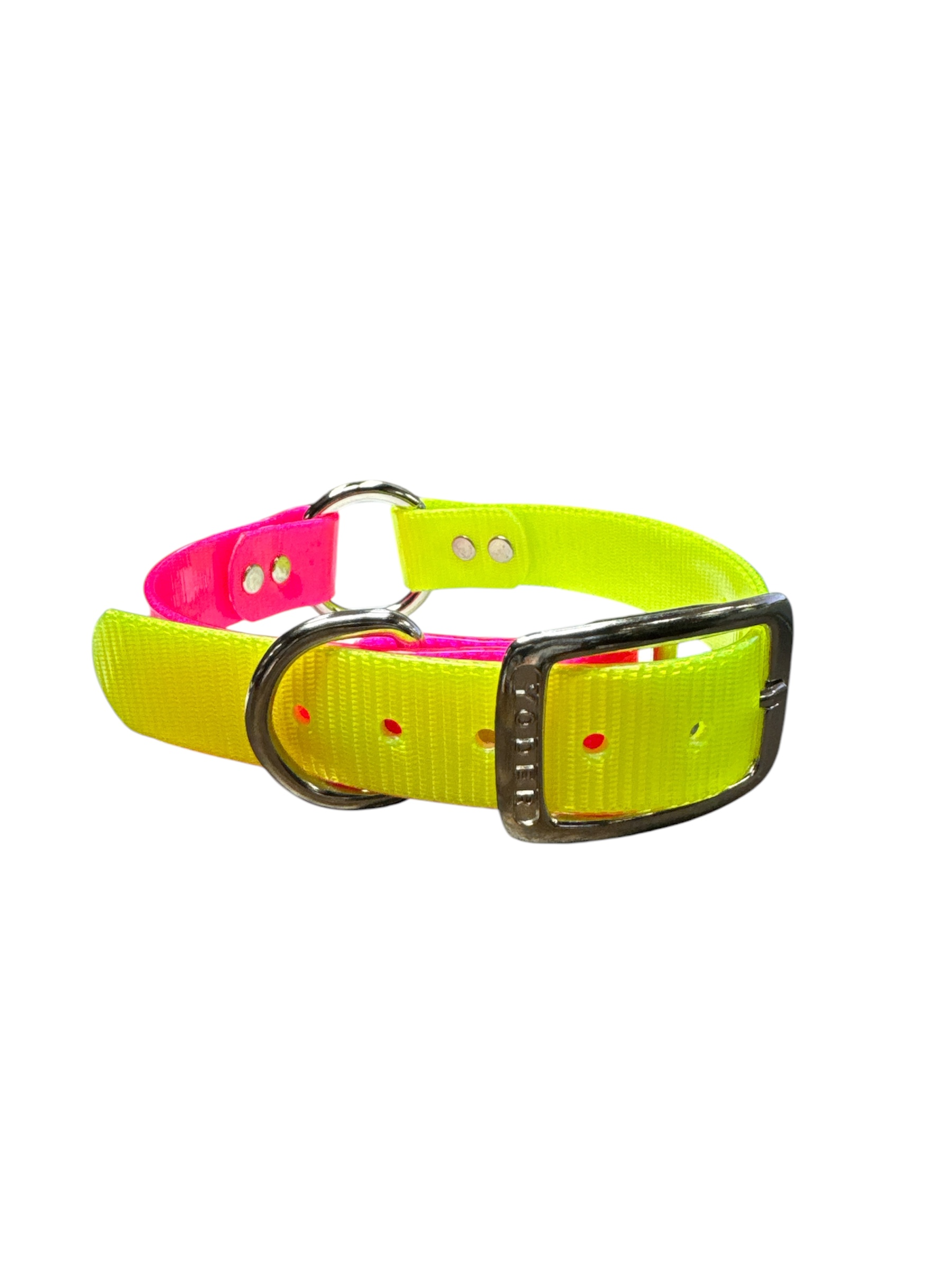 Dog and Hunt Custom 1" Two-Tone Collar