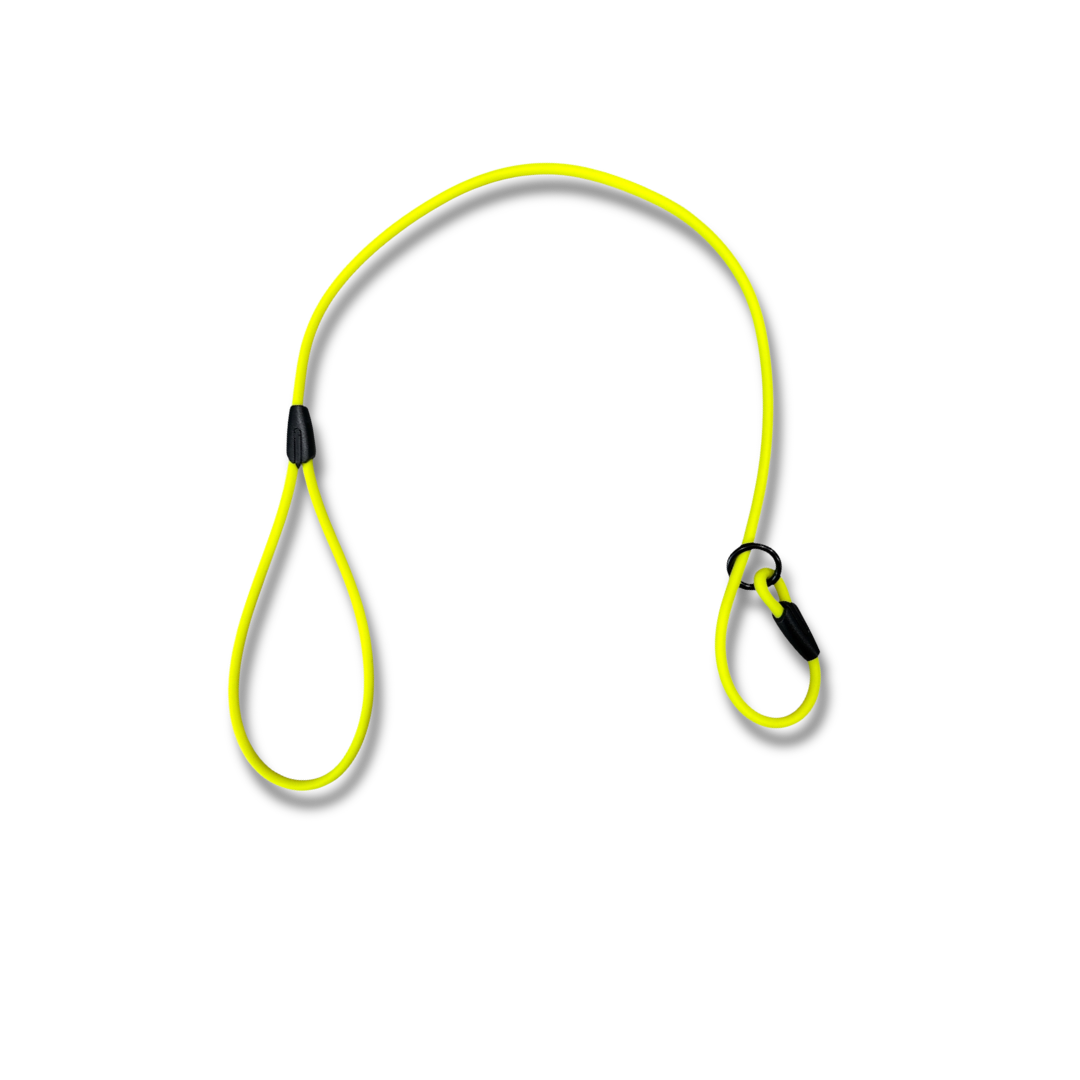 2ft Beta Show Lead